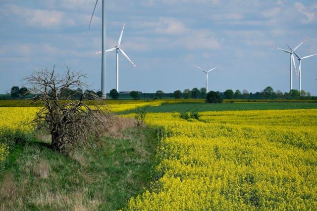 Électricité verte en France : comprendre ce que vous achetez vraiment