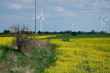 Électricité verte : offres, garanties d'origine et vrais impacts